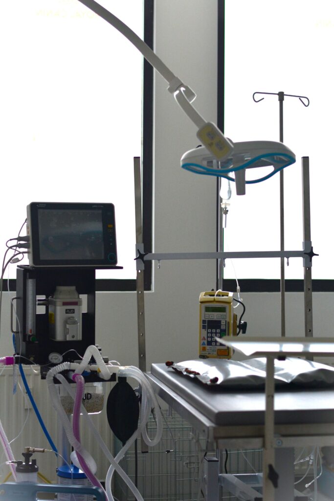 25 usługi.zabiegi.zespoł.usuniecie.śledziony.guzów.jąder.macicy.nadnerczy.chirurgiamiękka.