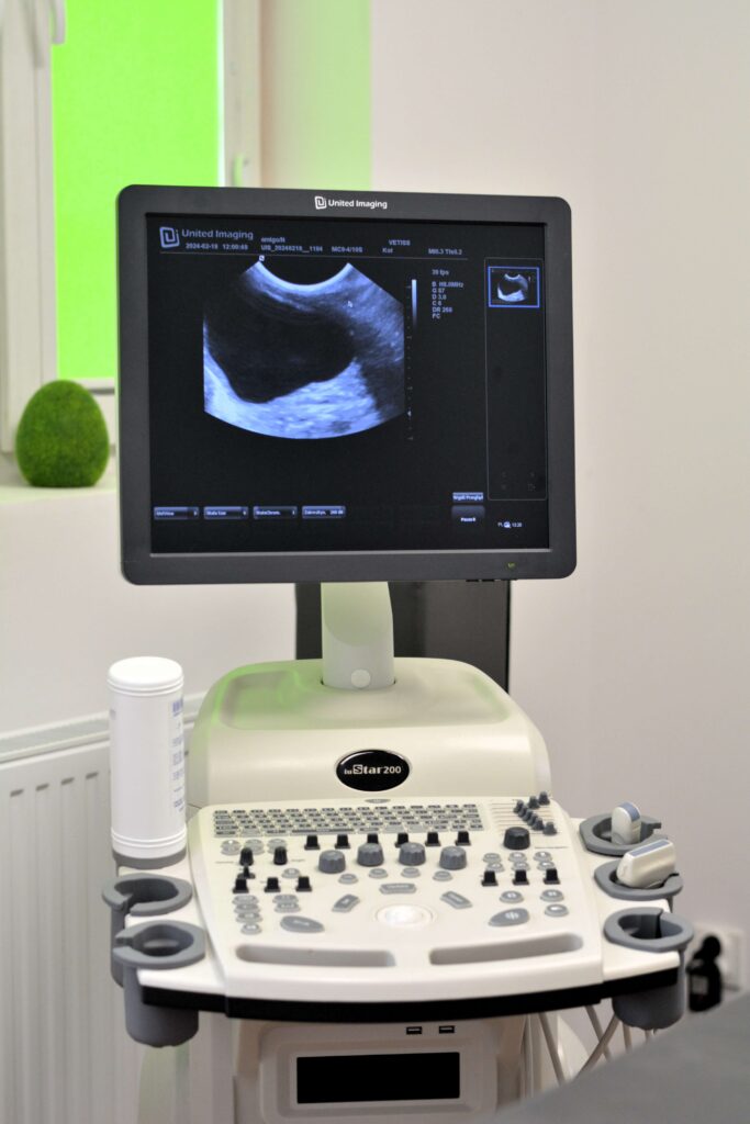 26 usługi.usg.tarczyca.płuca.pluca.fast.afast.tfast.echo.jamabrzuszna.jamybrzusznej.serce.śledziona.wątroba.pęcherzykżólciowy.zolciowy.janiki.guzy.nowotwor